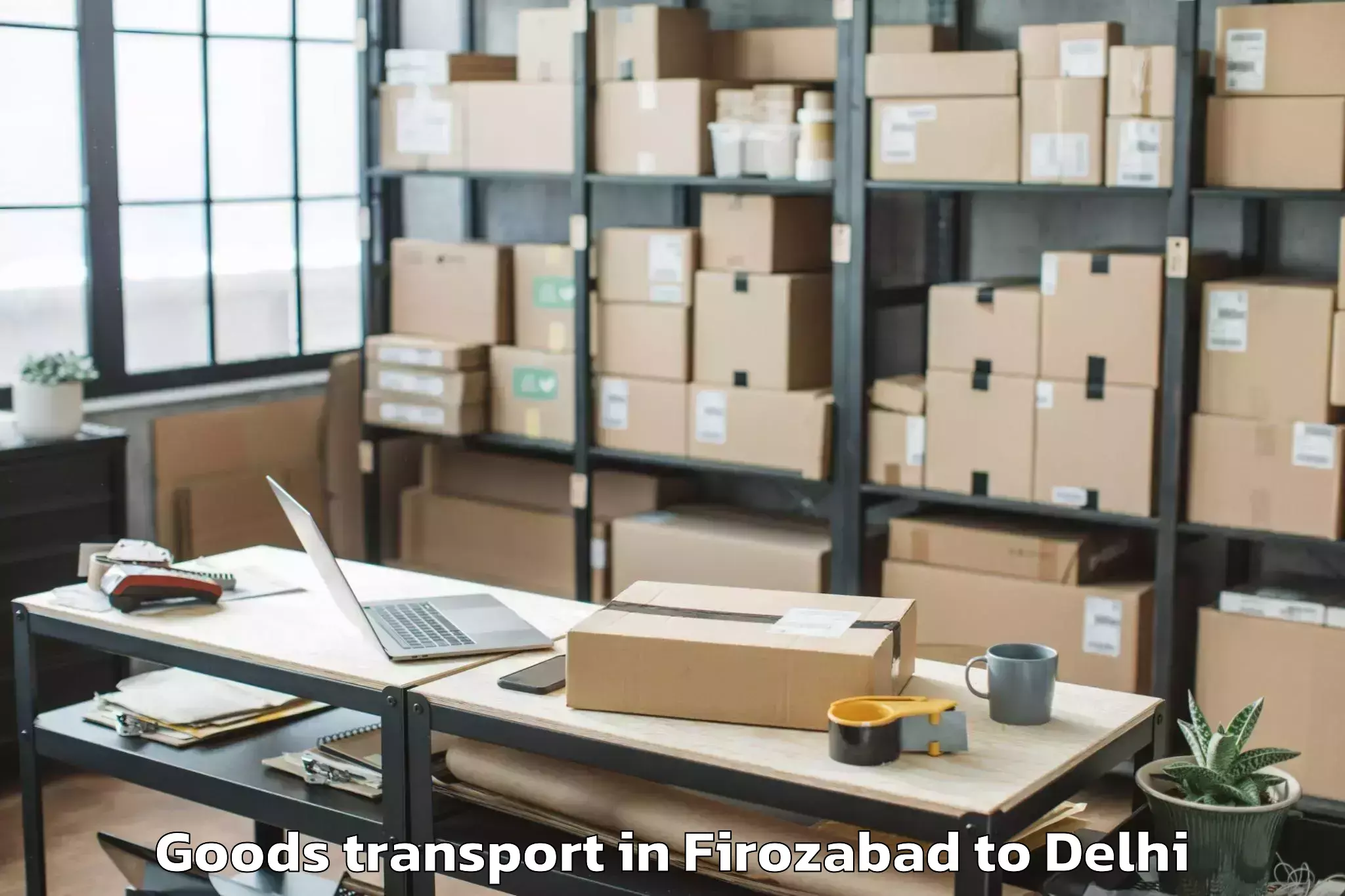 Top Firozabad to City Centre Mall Rohini Goods Transport Available